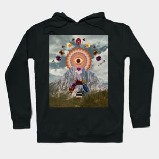 Holy mountain Hoodie